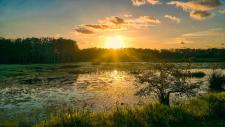 Mississippi River Delta, coastal Louisiana. NASA's Delta-X mission seeks to learn how sea-level rise affects the area. Credits: Jaimie Tuchman / Adobe Stock