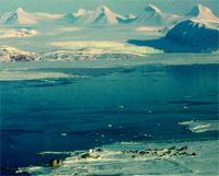 Link to Ground-Based Instrument Information